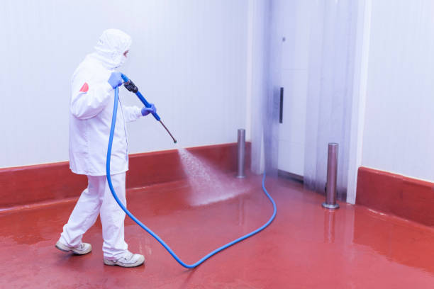 Best Patio and Deck Pressure Washing  in Fannett, TX